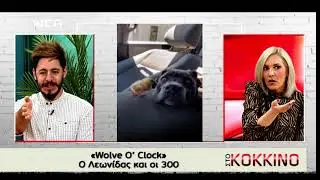 Wolve O'Clock - Στο Κοκκινο - Γωγω Καληδονακη - Nea TV - Episode 10