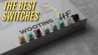 The ULTIMATE Wooting Switch Showdown! Wooting 80HE Sound Comparison