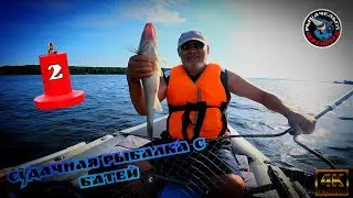 РЫБАЛКА С БАТЕЙ НА СУДАРЯ!!!//СУДАК РАЗДАЁТ💪💪💪Точки работают!!!Сударь на месте !!! Шексна балует 😜😜😜