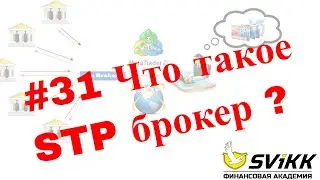 #31 Что такое STP брокер ?