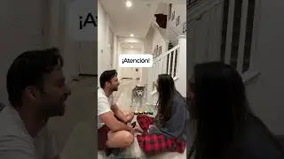 Sapphie la pomsky reacciona a que traten a su papá como perro 🐶