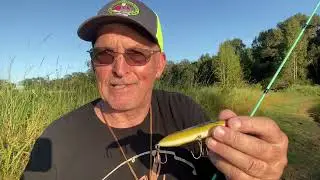 Bass fishing in a pond