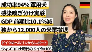 ドイツのベルリンからレポート 成功率94％ 軍用犬、感染有無の嗅ぎ分け実験/GDP 前期比10.1%減/12,000人の米軍撤退 #106 ウィズコロナ時代のドイツ ※2020年7月30日時点