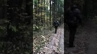74 е по белке (2/5)
