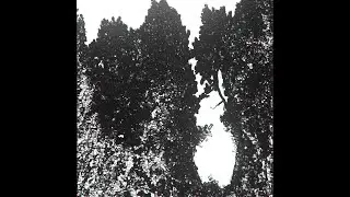 PARADOX - Bepic