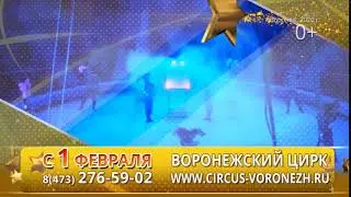 Цирк Воронеж