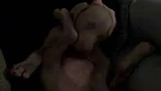 yoga hooch