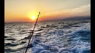 Catching The Blue Marlin in Puerto Vallarta