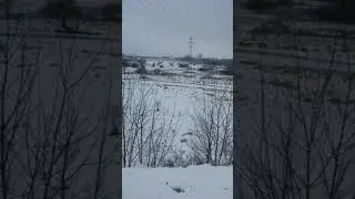 Серебрянка в снегу. Думал что это последний раз т к долго снег не выпадал