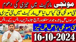 New Munji Rates 2024 | maize rates | Gandum ka rate today | Galla mandi rates || Apna Kisan Pakistan