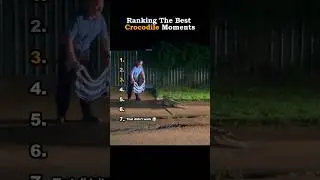 Ranking The Best Crocodile Moments