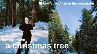 cutting down our christmas tree: a roadtrip to the mountains