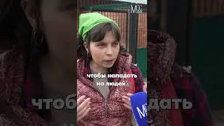 #тюремная#собака #бездомныеживотныероссии #зона #охрана #тюрьма#дикие  #животные #пушистыйдруг