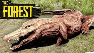 Top 4 BEST FOOD SOURCES! The Forest Beginner's Guide
