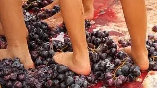Shout! For New Wine