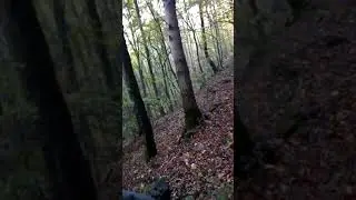 Есенна Витоша - 8 октомври 2017 г.