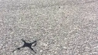 Eachine H8 Micro Quad Copter RTF