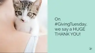 #GivingTuesday Thank you!