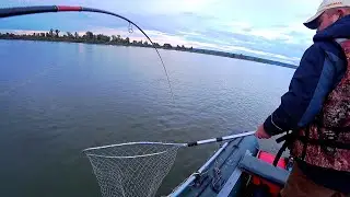 HERE IT IS CRUSHING!!! I can't lift it, what kind of fish is this)))