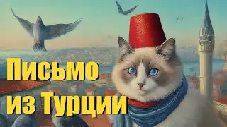 «Письмо коту Василию из Турции»📝🕌🐈песня кота Мурзика