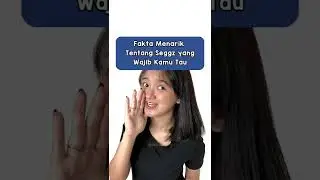 fakta menarik tentang sex 