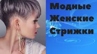 Модные  женские  стрижки