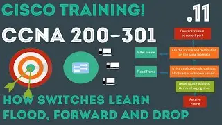 Cisco - CCNA Certification 200-301 - How Switches Learn, Flood and Forward traffic   .11