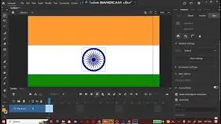 How to do flag transformations on Adobe Animate