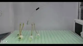 A soft robot can walk on a waving surface