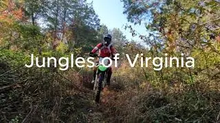 Best Dirt Bikes on the Market: #klx230r and  #klx300r #kawasaki #november  #2023 #virginia #fun