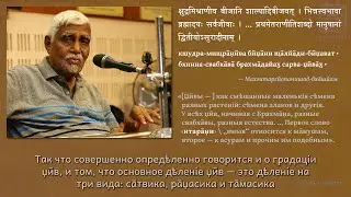 Троякое дѣленіе џӣв в Щāстрѣ (Eng with Rus subtitles) ŚRĪMAD-GOVINDA P.Ā. Prativākya-24-sub