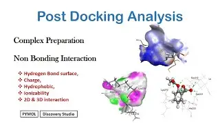 Post Docking Analysis in Molecular Docking | Hydrogen Bond, Charge, Hydrophobic & 2D–3D Interactions