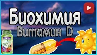 Биохимия. Лекция 8. Жирорастворимые витамины. Витамин D