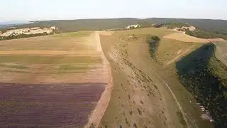 Лавандовое поле в селе Тургеневка, Крым