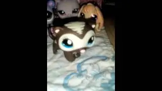Новинки