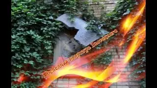 Последняя квартира Высоцкого