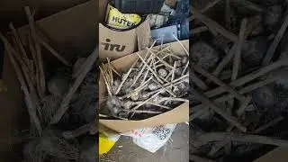 #срочноновости