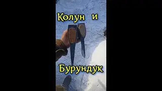 Бурундук против Колуна