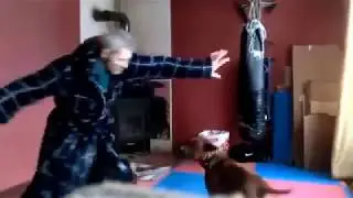 ЧИ ДА ,  Когда Собака боится ХОЗЯИНА УгарнуЛ ))))