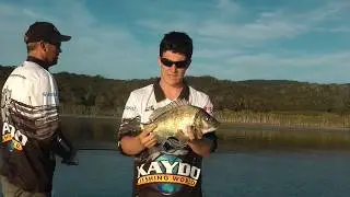 CATCHING BREAM ON BLADES