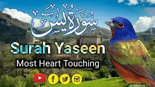 World's Most Beautiful Quran Recitation Of Surah Yaseen (Yasin) Arbic Text HD #surahyaseen