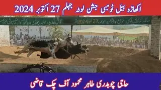 Haji Chaudhry Tahir Mehmood Of Chak Qazi | Bull Racing Lota Jhelum 27 October 2024