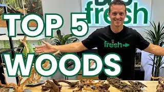 The Top 5 BEST DRIFTWOODS For Your Aquarium