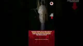 #pocong #penampakan