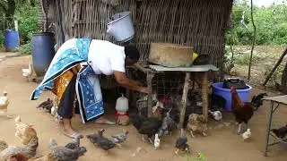 From Rearing One Goat to Becoming a Galla Goat Breeder