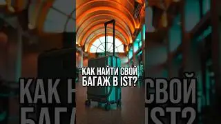 Как найти багаж в новом аэропорту Стамбула (IST)? #Шортс шортс #shorts shorts #аэропорт #istanbul