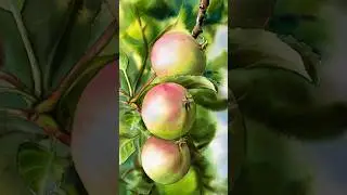 Watercolor apple painting 