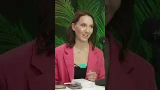 Участок по цене айфона?