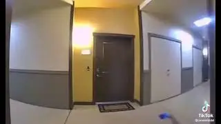 Грабеж века