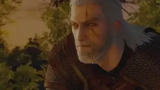 The Witcher 3 EPIC VIDEO Realistic graphics NQM